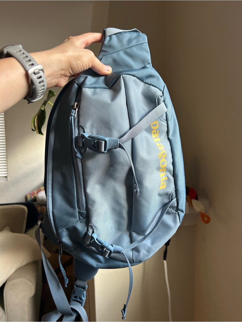 Patagonia Atom Sling Bag